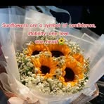 Nancy Butterflies - Facebook