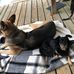 Nan Byrd - Facebook