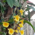 Nancy Cabañas - Facebook