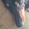 Nancy Cabello - @nancy.cabello6 - TikTok