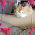 Nancy Charne Lucas Cable - @cablenancy - Instagram