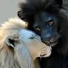 Nancy Cadavid - @nancy.cadavid3 - TikTok