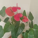 Nany Cadena - @nancy.cadena.5682 - Instagram