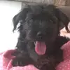 Nancy cadman - @xo.musicmayhem.ox - TikTok