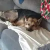 Nancy Cafaro - @nancy.cafaro - TikTok