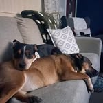 Nancy Cahoon - @cahoon318 - Instagram