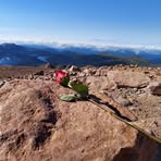 Nancy Callaway - Facebook