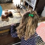 Nancy Calvert - @nancy.calvert56 - Instagram
