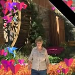 Nancy Campfield - Facebook