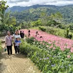 Nan Sy - @campion_nancy - Instagram