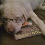 Nancy Campion - @nancycampion - Instagram