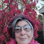 Nancy Lee Campion - @nancyleecampion - Instagram