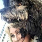 Nancy Canada - @sedonaaussiedoodles - Instagram