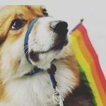 nancycanada - @nancycanada78 - Instagram