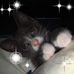 Nancy Capobianco - Facebook