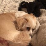 Nancy Cardillo - @cardillo_nancy - Instagram