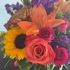 Nancy Cardinale-Lower - @nancy.cardinalelo - TikTok