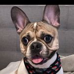 Nancy Cardinale - @carnival05 - Instagram