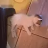 Nancy Cardozo - @nancy.cardozo230 - TikTok