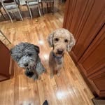 Nancy Ferraro Carman - @nancy_carman23 - Instagram