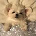 Nancy Carney - Facebook
