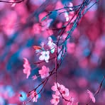 Nancy Carreon - Facebook