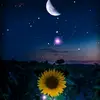 Nancy Carrizales - @nancy.carrizales8 - TikTok