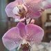 Nancy Carruth - Facebook
