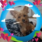 Nancy Casado - Facebook