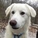 Nancy Casazza - Facebook