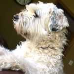 nancy cassady - @cassadyn69 - Instagram