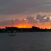 Nancy Cassels - @nancy.cassels - TikTok