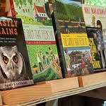 Nancy Castaldo - @nancycastaldoauthor - Instagram