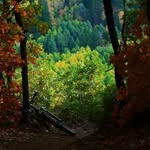Nancy Casteel - @casteel2886 - Instagram
