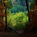 Nancy Casteel - Facebook