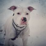 Nancy - @castelli.nancy - Instagram