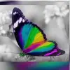 nancycastelli1206 - @nancycastelli1206 - TikTok