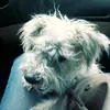 Nancy Cataño - @nancy02r - TikTok
