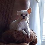Nancy cates - @cates5749 - Instagram