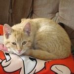 Nancy Cates Brunt - @bruntnancy - Instagram