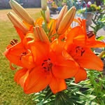 Nancy Caton Belsky - @belskynancy - Instagram
