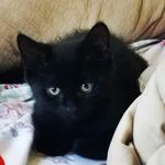 Nancy Peterson-Caton - @npcaton - Instagram