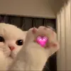 NancyCaton - @nancycaton6 - TikTok