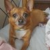 Nancy Catullo - Facebook