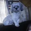 @nancy. caudill@ outlook.com - @nancy..caudill.out - TikTok