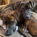 Nancy Cavanaugh - Facebook