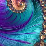 nancy cavanaugh - @ncav51 - Instagram