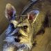 Nancy Cavanaugh - Facebook