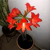 NanArt - @nancycedano7 - TikTok