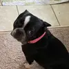 Ncerullo - @ncerullo - TikTok